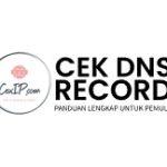 Check Dns Record
